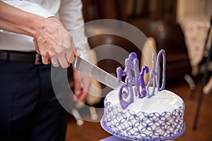 Happy day honeymooners, wedding cake sectional