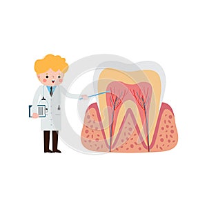 Happy Dentist with Tooth character Cute cartoon flat style vector illustration on white background.