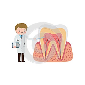 Happy Dentist with Tooth character Cute cartoon flat style vector illustration on white background.