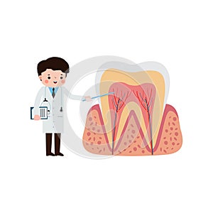 Happy Dentist with Tooth character Cute cartoon flat style vector illustration on white background.