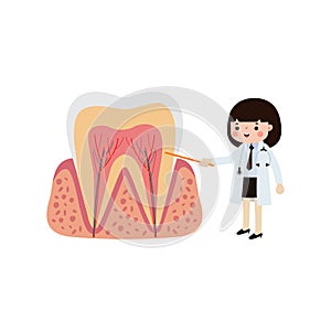 Happy Dentist with Tooth character Cute cartoon flat style vector illustration on white background.