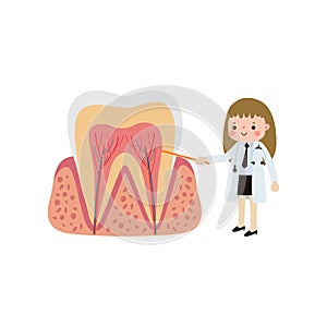 Happy Dentist with Tooth character Cute cartoon flat style vector illustration on white background.