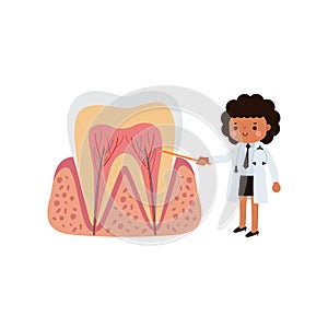 Happy Dentist with Tooth character Cute cartoon flat style vector illustration on white background.