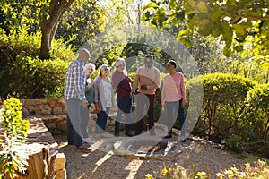 Happy diverse group of senior friends standing and smiling in sunny garden