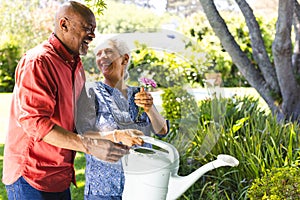 Happy diverse senior couple gardening in sunny garden