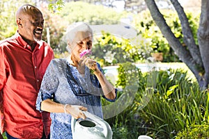 Happy diverse senior couple gardening in sunny garden