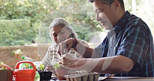 Happy diverse senior couple sitting at table and planting plants to pots on porch