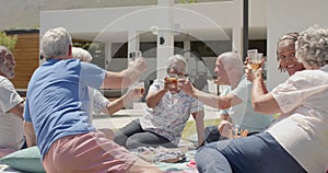 Happy diverse senior friends drinking a toast at picnic in sunny garden, unaltered, in slow motion