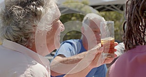 Happy diverse senior friends drinking a toast at picnic in sunny garden, unaltered, in slow motion