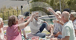 Happy diverse senior friends drinking a toast at picnic in sunny garden, unaltered, in slow motion