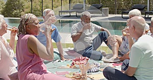 Happy diverse senior friends drinking a toast at picnic in sunny garden, unaltered, in slow motion