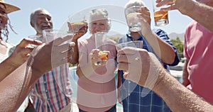 Happy diverse senior friends drinking a toast at sunny garden party, unaltered, in slow motion