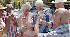 Happy diverse senior friends drinking a toast at sunny garden party, unaltered, in slow motion