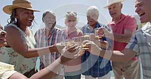 Happy diverse senior friends drinking a toast at sunny garden party, unaltered, in slow motion