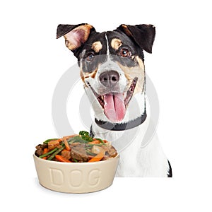 Happy Dog With Bowl of Homemade Food