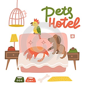 Happy dog , cat and parrot relax on a hotel bed. Animals Pets care concept. Pets hotel poster design with lettering. Room with