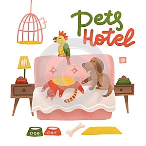 Happy dog , cat and parrot relax on a hotel bed. Animals Pets care concept. Pets hotel poster design with lettering. Room with