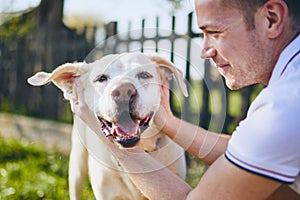 Happy dog and his owner photo