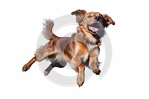 fly dog animal white jump pet doggy young purebred background cute. Generative AI. photo