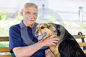 Happy dog pressed against his master. Dog shows his love for owner while resting in park