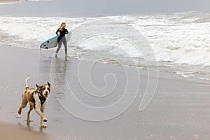 Happy Dog Running on Surfing Beach in Malibu photo