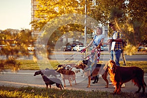 Happy dog walker walking with a group dogs in the city