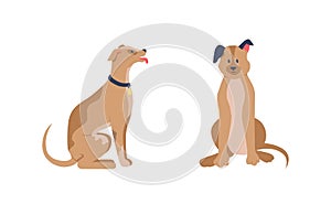 Happy dogs sitting flat color vector detailed character set