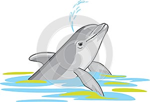 Happy dolphin splashes water