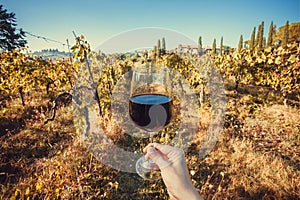 Happy drinker hand with wine glass. Natural grape yard farm at morning photo