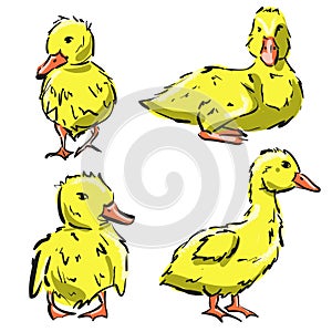 Happy duck cartoon collection set