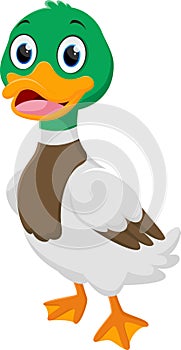 Happy duck cartoon standing