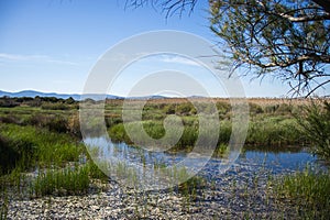 Happy Earth Day, Heal the Planet Earth, Delta del Lobregat, Barcelona, Spain, beautiful nature on a sunny and warm day