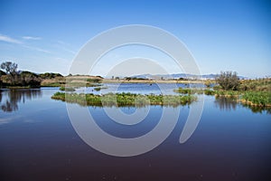 Happy Earth Day, Heal the Planet Earth, Delta del Lobregat, Barcelona, Spain, beautiful nature on a sunny and warm day