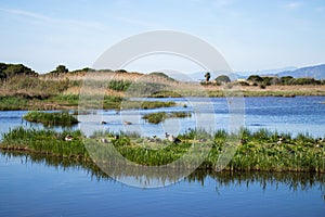 Happy Earth Day, Heal the Planet Earth, Delta del Lobregat, Barcelona, Spain, beautiful nature on a sunny and warm day