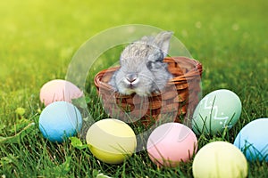 Happy Easter! Background with colorful eggs in basket.