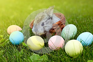 Happy Easter! Background with colorful eggs in basket.