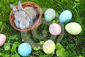 Happy Easter! Background with colorful eggs in basket.