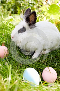 Happy Easter! Background with colorful eggs in basket.