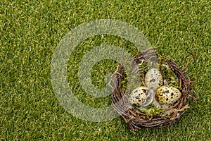 Happy Easter background. Quail eggs in a bird`s nest on fresh sunny green grass