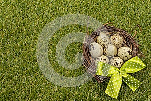 Happy Easter background. Quail eggs in a bird`s nest on fresh sunny green grass