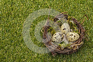Happy Easter background. Quail eggs in a bird`s nest on fresh sunny green grass