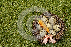 Happy Easter background. Quail eggs in a bird`s nest on fresh sunny green grass