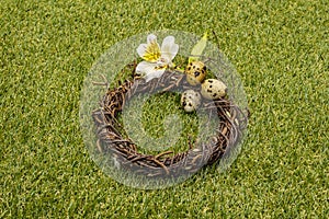 Happy Easter background. Quail eggs in a wicker wreath on fresh sunny green grass