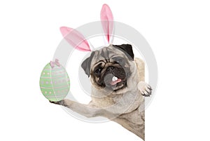 Happy Easter bunny pug dog with bunny teeth and pastel green easter egg