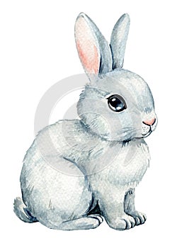 Happy Easter bunny watercolor. Cute Easter rabbit, Isolated white background. Hand painted watercolor