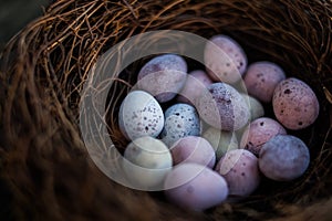 Happy Easter candy easter eggs in birds nest
