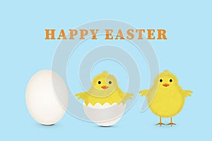 Happy Easter card with cute spring chick and egg.