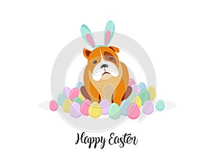 Happy Easter card, dog wearing bunny costume surrounded by Easter eggs