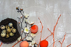 Happy Easter card. eggs in a nest of colored eggs, blooming branch