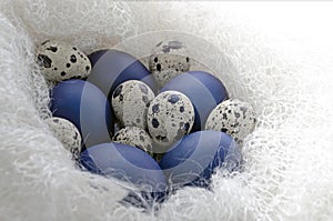 Happy easter card - place for text. Blue easter and quail eggs in a snow-white woolen cozy nest on a white wooden background,